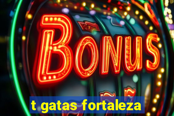 t gatas fortaleza